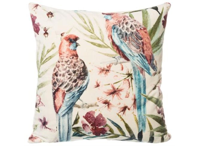 Hovedbilde Putetrekk velur papegøyer