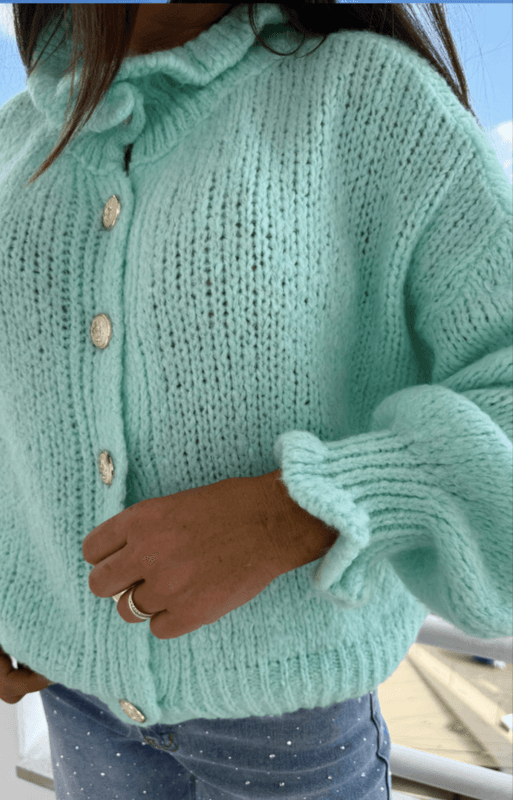 Love Forever Heidi Cardigan Turkis